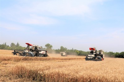 组建粮食生产农机服务队，开展菜单式服务，提升农业机械化水平