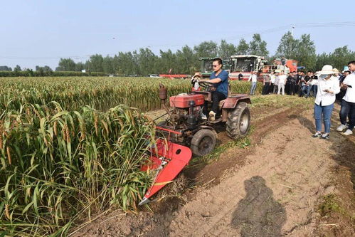 河北石家庄成功举办谷子生产机械化技术培训与演示会，推动农业机械服务升级