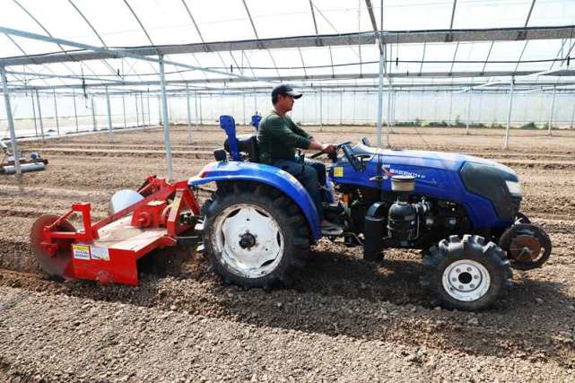 浙江 春满江南点点绿，“数智”助农处处新