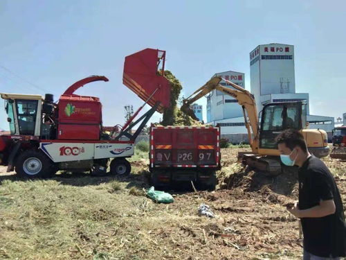 青州入围2021年度“两全两高”农业机械化示范市 农机服务赋能农业现代化