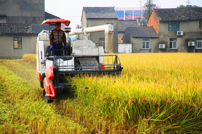 开着空调收割晚稻！机械赋能助推柯桥实现新农机服务模式