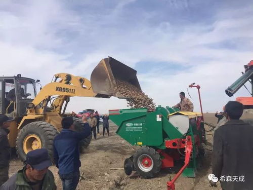 希森天成 为您的马铃薯种植提供专业农业机械服务