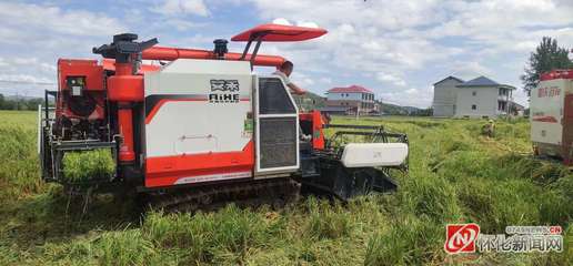 筑牢“压舱石” 装满“粮袋子”——靖州苗族侗族自治县粮食安全工作综述